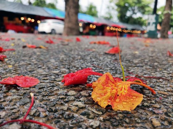 OnePlus 6 review camera cloudy rainy afternoon